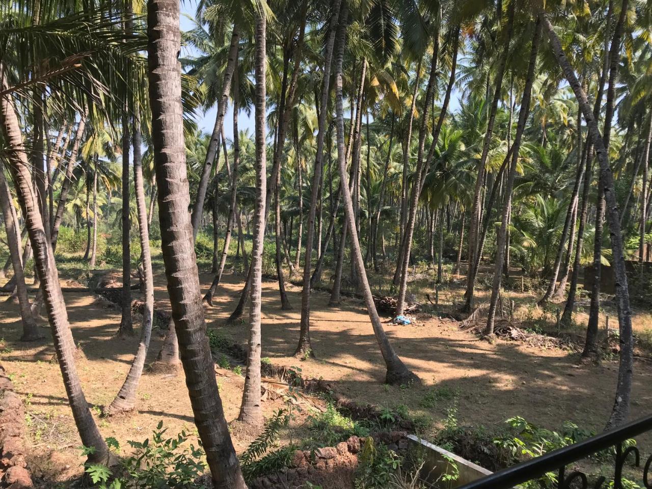 All Seasons Guest House Vāsco Da Gāma Exterior foto